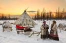 Nômades Nenetses, Yamal, Rússia