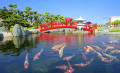Lagoa de Peixes em um Jardim Japonês