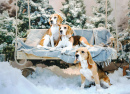 Cães Beagle Perto da Árvore de Natal