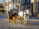 Carruagem em Sevilha, Espanha