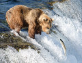 Quedas dos Ribeiros, Parque Nacional de Katmai