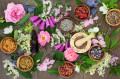 Flores e Ervas
