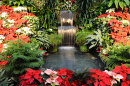 Jardins Butchart, Ilha Vancouver