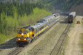 Alaska Railrod Train 4002