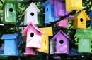 Casas de Pássaros