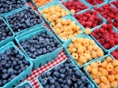 Frutas Coloridas