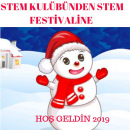 STEM KULÜBÜNDEN STEM FESTİVALİNE puzlla