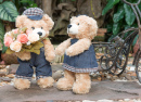 Casal de Teddy Bears