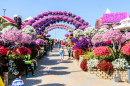 Dubai Miracle Flower Garden (Jardim de Flores Milagroso de Dubai)