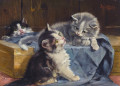 Três Gatinhos em um Cobertor Azul