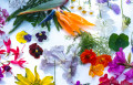 Flores Misturadas
