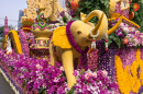 Festival de Flores de Chiang Mai, Tailândia