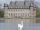 Lago Swan, Castelo de Beloeil, Bélgica