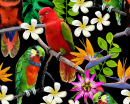 Pássaros Exóticos e Flores Tropicais