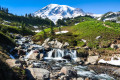 Edith Creek, Parque Nacional Mount Rainier