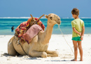 Criança e Camelo na Praia