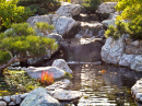Cachoeira de um Jardim Japonês