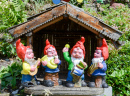 Gnomos de Jardim