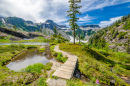 Bagley Lake Trail Park, Trilha de Caminhada em Washington