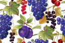 Uvas, Ameixas, Cerejas e Bagas