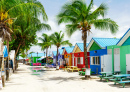 Ilha do Caribe de Barbados