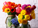 Flores em Vasos