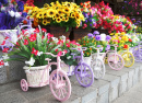Flores em Potes de Bicicletas