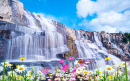 Cachoeira com Flores
