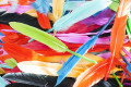 Penas Coloridas