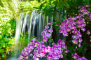 Cachoeira com Flores no Jardim