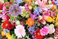 Arranjo de Flores Misto