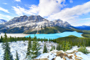 Lago Peyto, Parque Nacional de Banff, Canadá