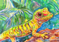 Lagarto em Aquarela
