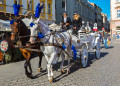 Carruagens de Cavalos em Cracóvia, Polônia
