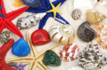 Estrelas do Mar e Conchas