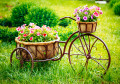 Bicicleta com Flores