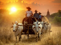 Carro de Boi em Bagan, Myanmar