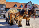 Carruagem na Antiga Cidade de Wernigerode, Alemanha
