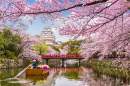 Castelo Himeji na Primavera, Japão