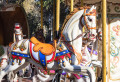 Cavalos de Carrossel