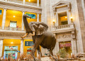 Museu de História Natural Smithsonian
