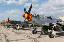 P-51 Mustang, Thunder em Michigan em Exibição Aérea