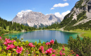 Mountain_lake_serenity_wildflowers_peak_2560X1600_hd-wallpaper-15211-1440x900