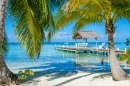 Belize Cayes, Mar do Caribe