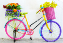 Bicicleta de Flores