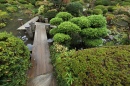 Jardim Tradicional Japonês