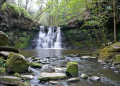 Cachoeira Goit Stock