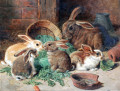 Uma Mãe Coelha e Seus Filhotes