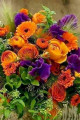 orange, purple,green