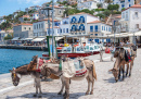 Burros em Hydra, Grécia